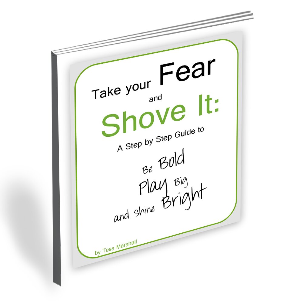tess ebook redo with name Take Your Fear and Shove It