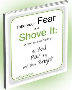 take your fear and shove it