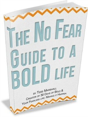 the no fear guide to a bold life